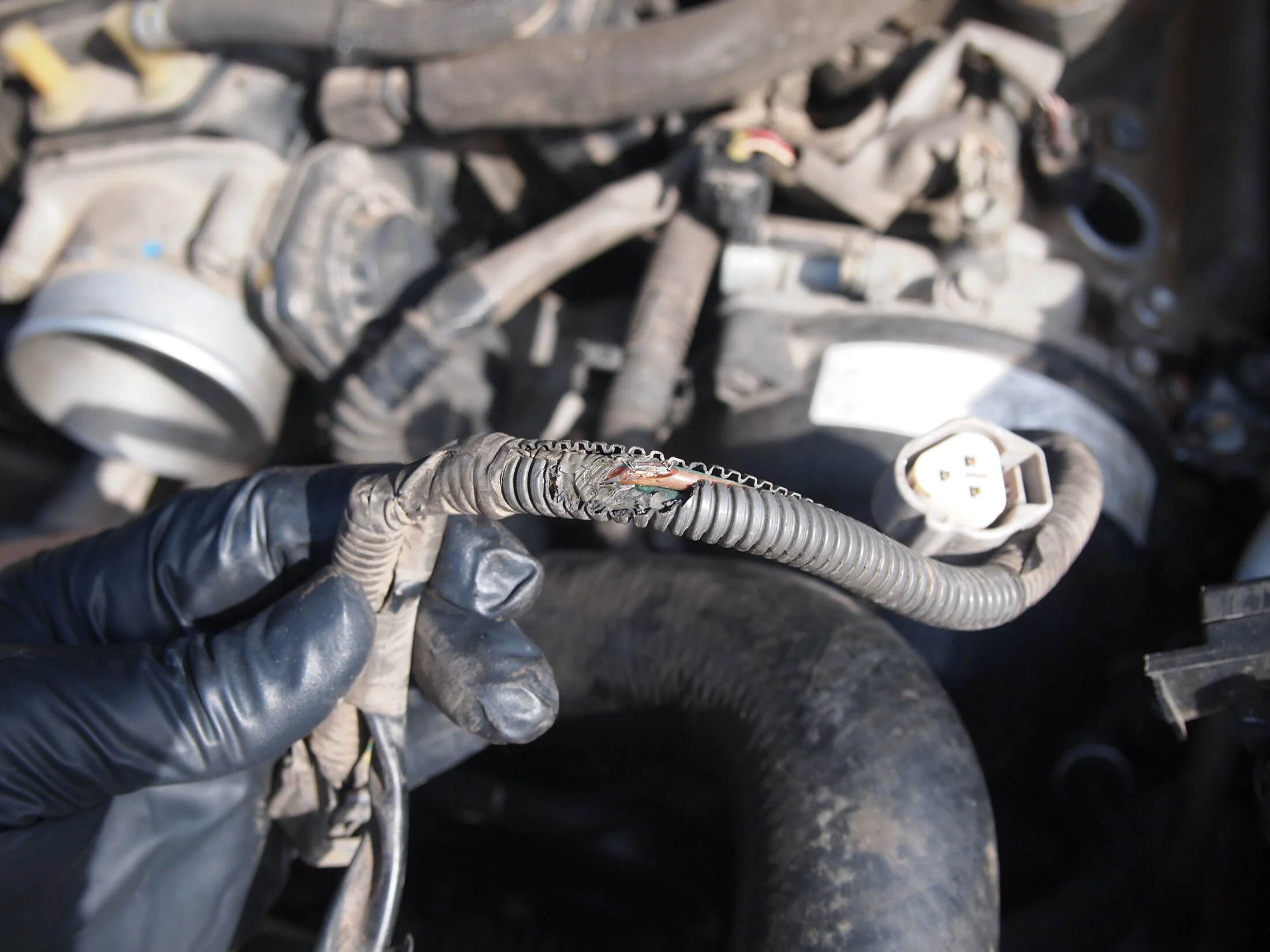 Engine wire harness main (1)a.webp