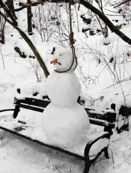 Enough Winter.webp
