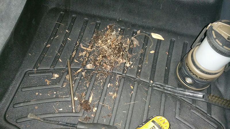 evapdebris.jpg