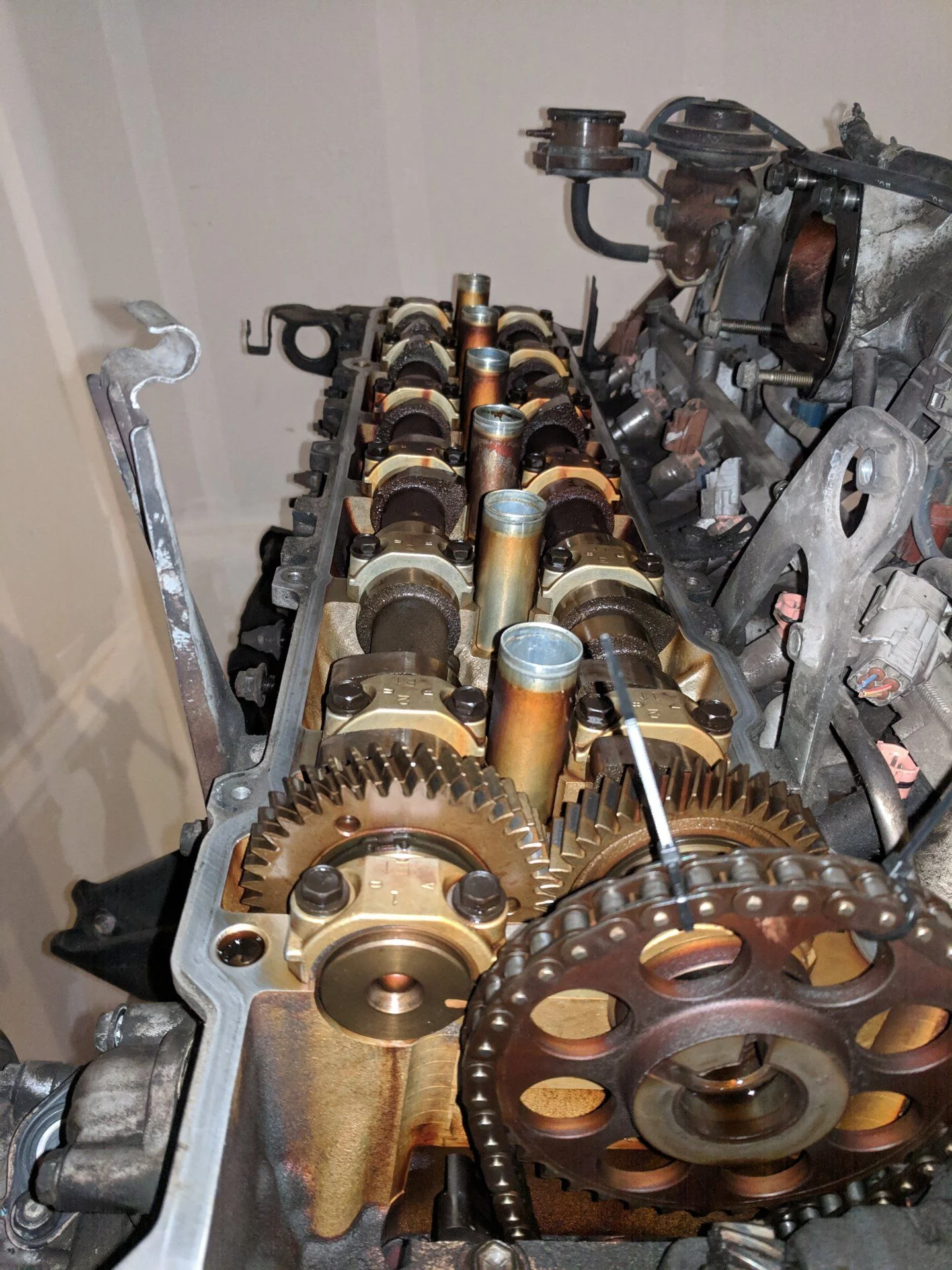 exhaust cam 2.webp