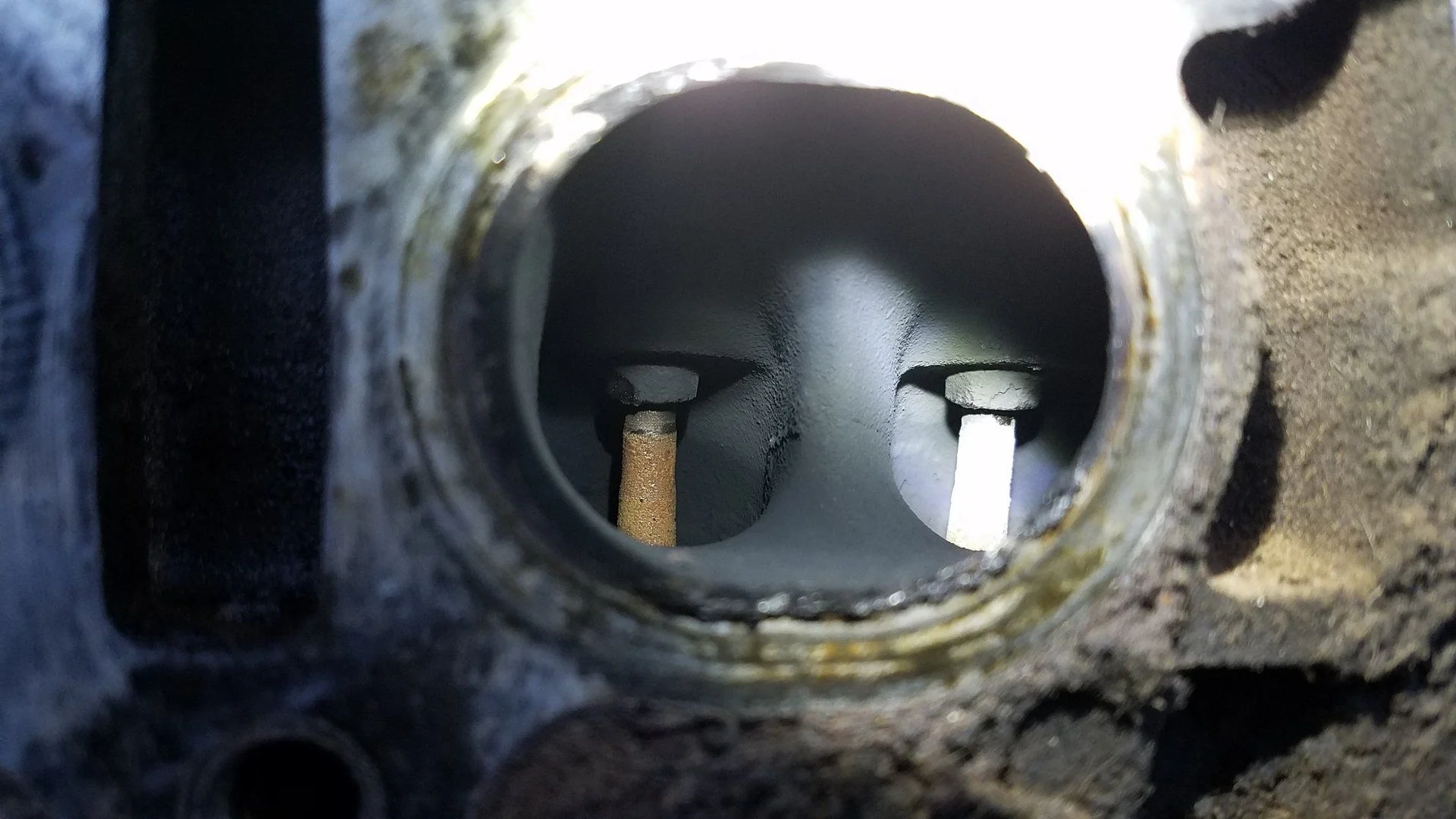 exhaust valves.webp