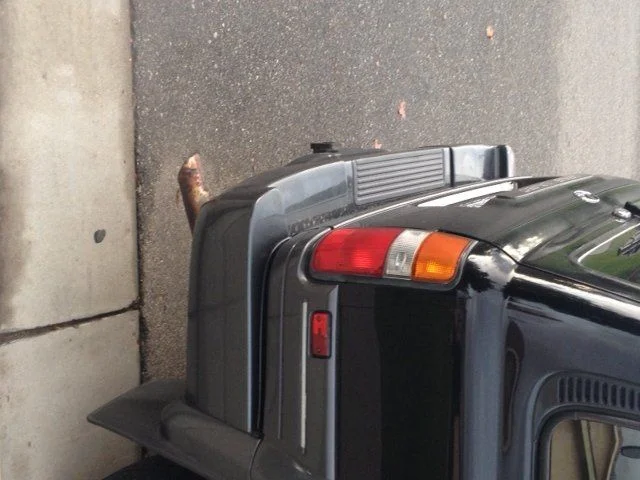 Exhaust.webp