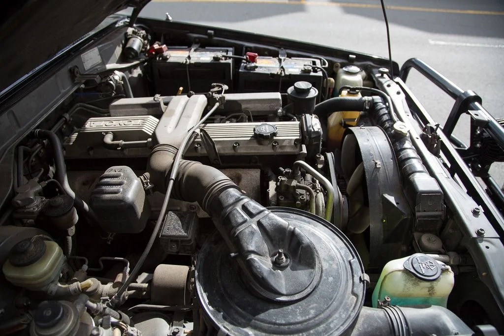 F12A9969-2.webp