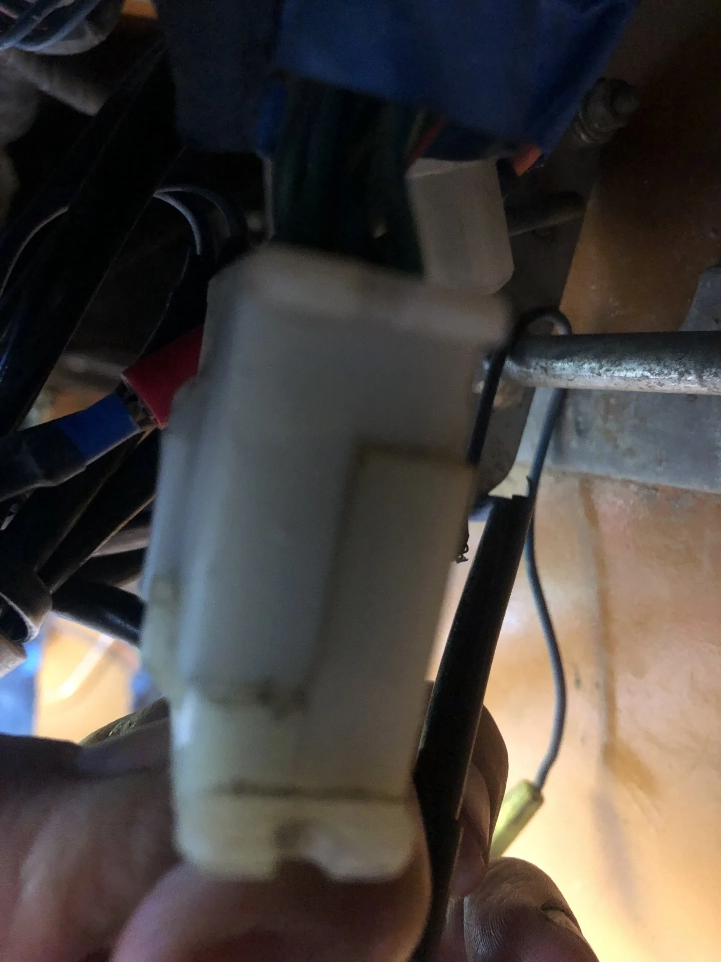 F1CC238D-1CC4-452B-A9A8-D649DDC93B2C.jpeg