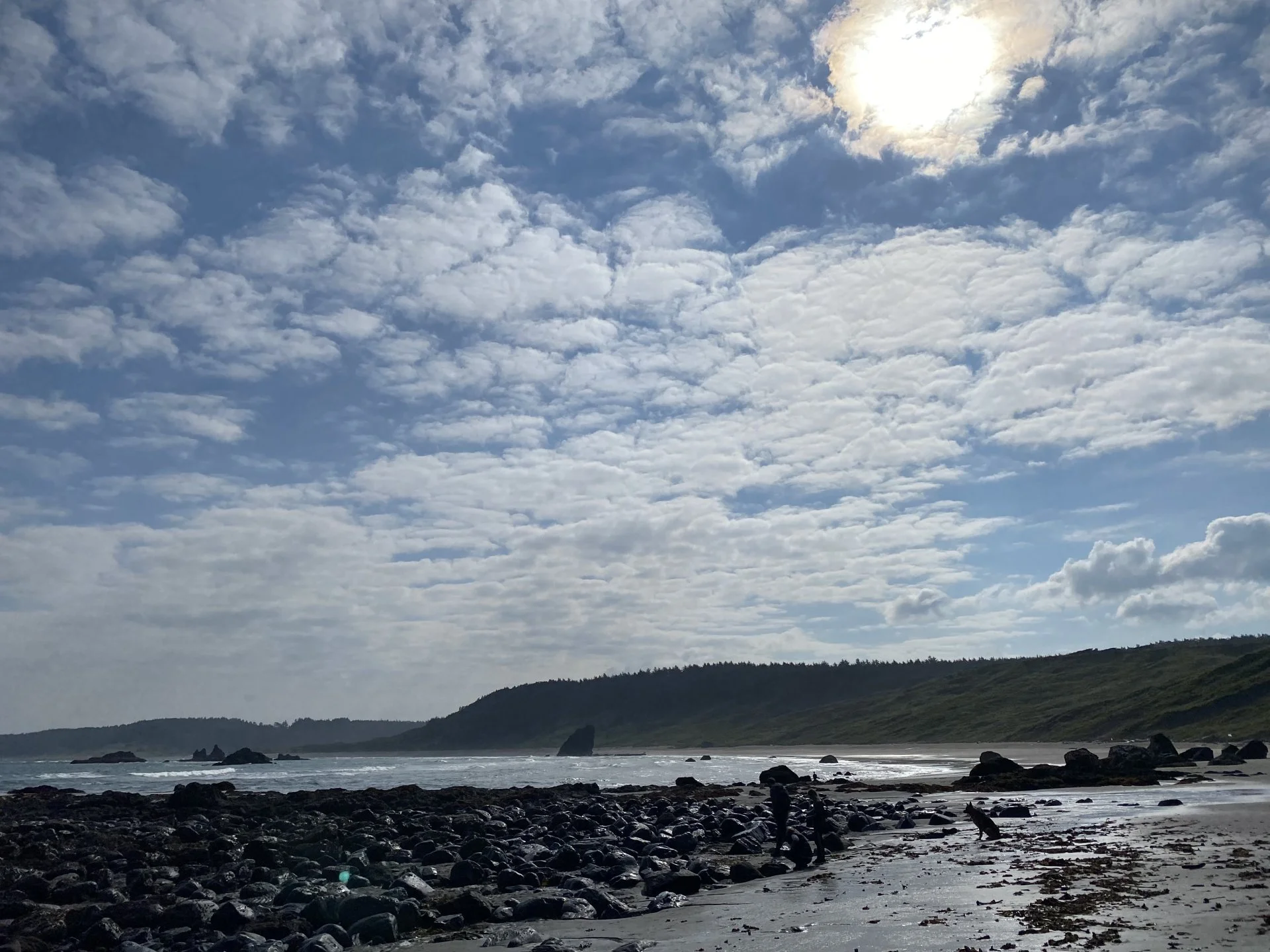 F4107D7D-06DC-45A8-B6F9-8D6BF312B370.jpeg