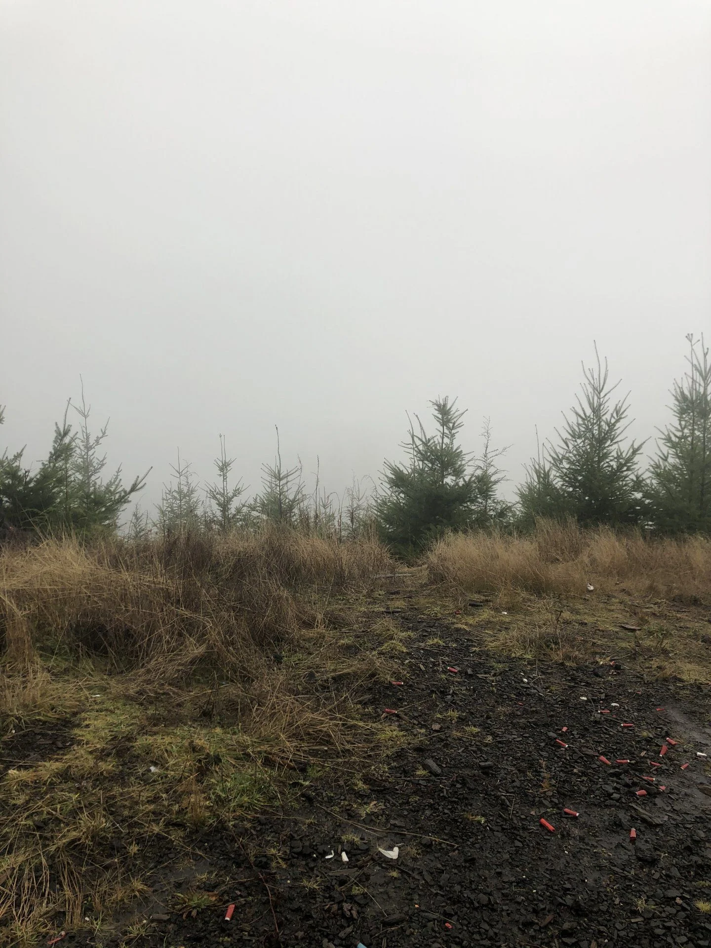 F583C2E6-18BA-4710-826D-79E489D74794.jpeg