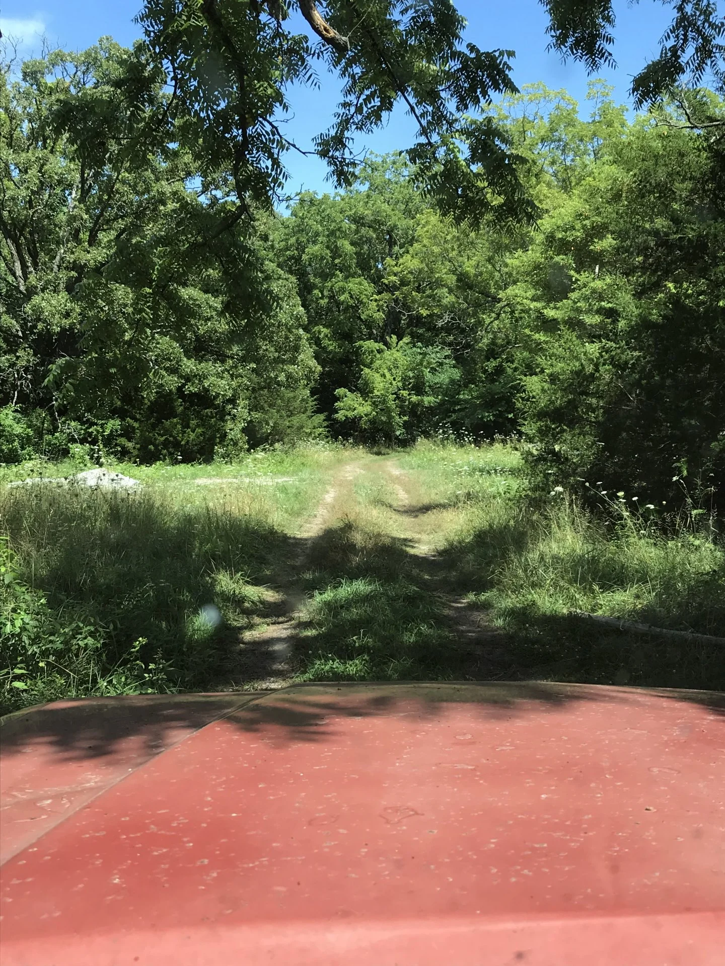F7990694-6847-4DA6-9288-14397661A47B.jpeg