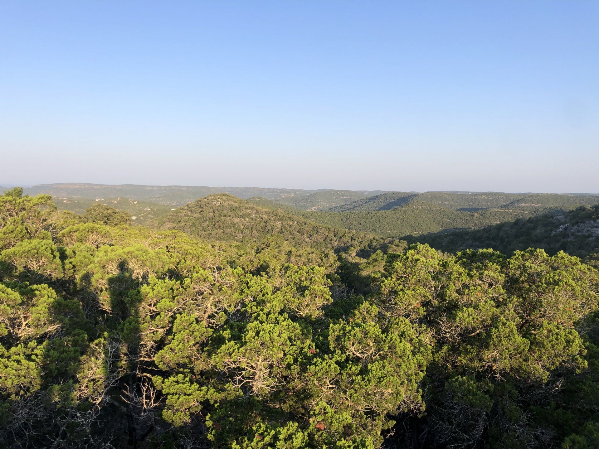 F8536A27-2AF8-447D-A956-24417FD43265.jpeg