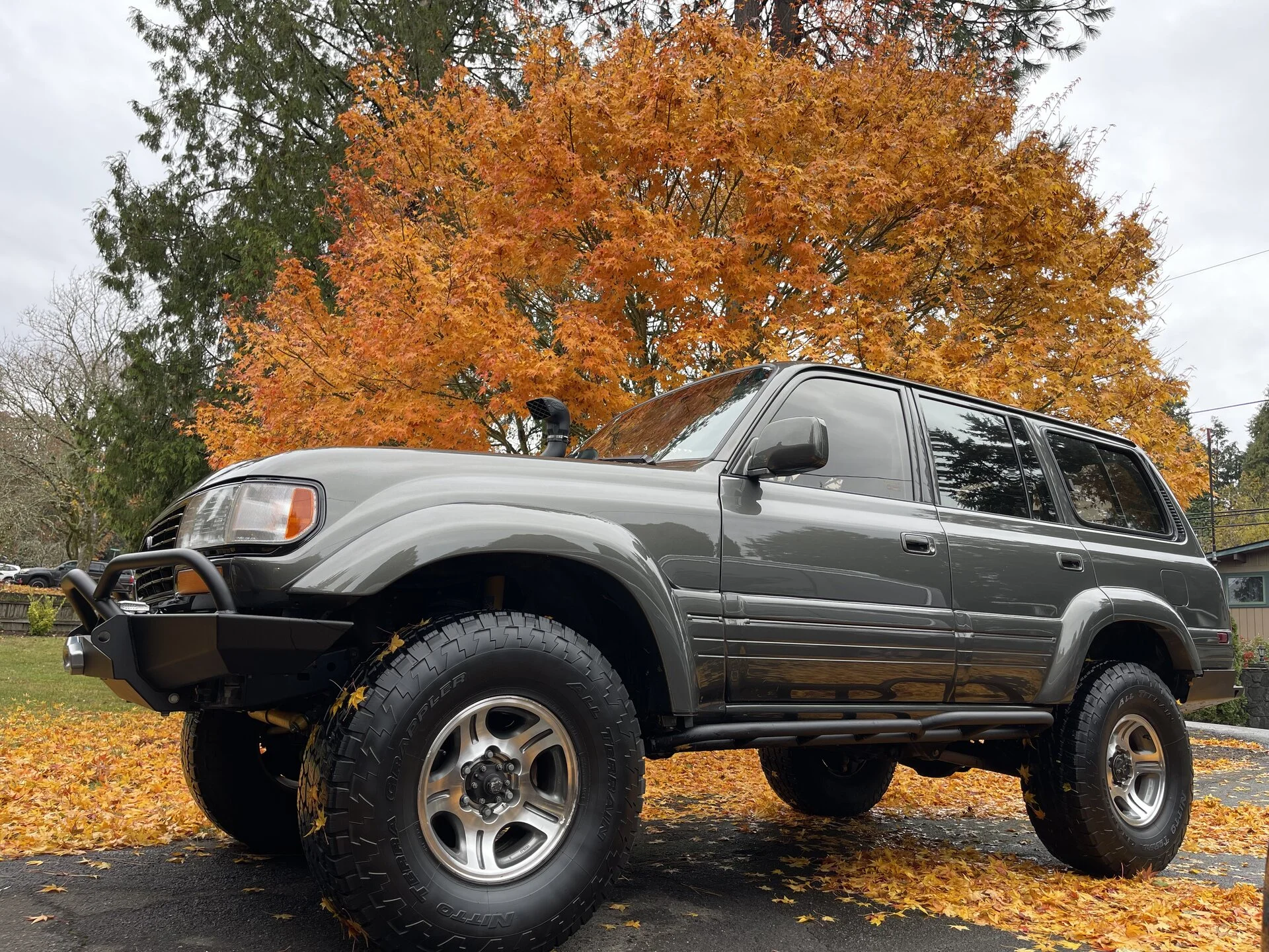 fall colors.webp