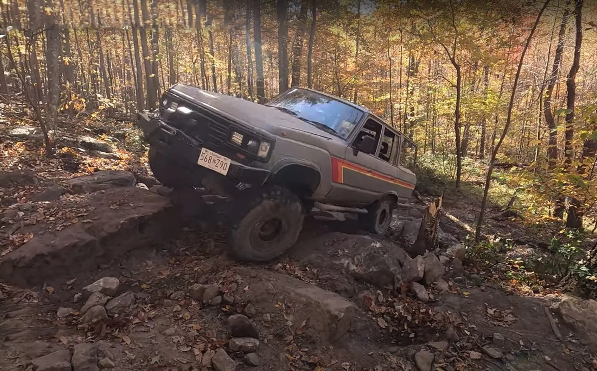 fall crawl 2022.webp