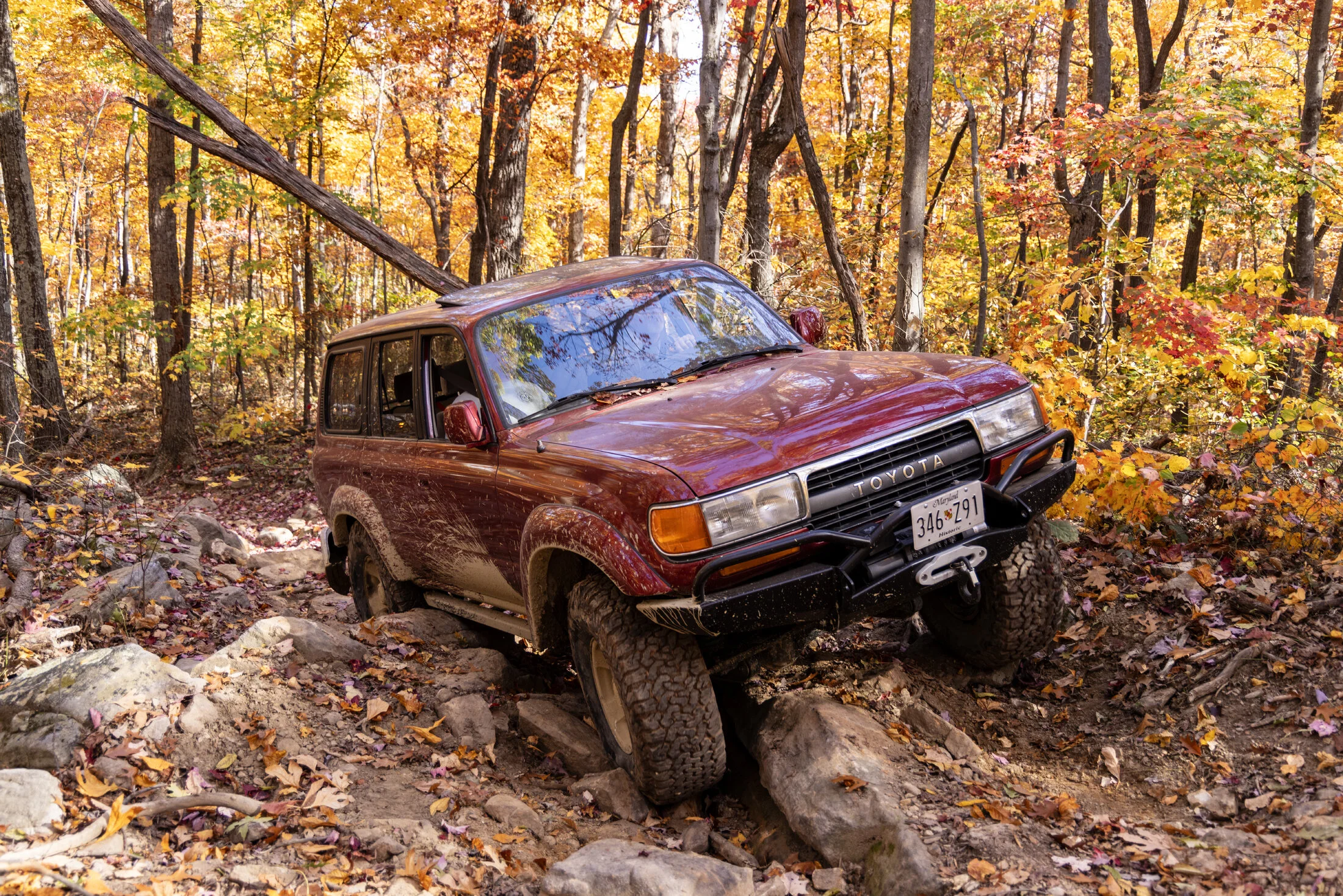 FallCrawl2023 (209 of 609).webp