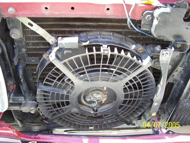 fan3a.webp