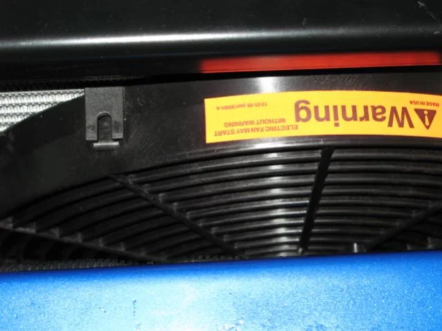 fans 005.webp