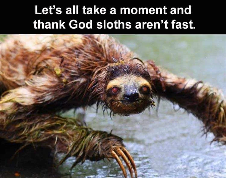 FB_IMG_1604498820353.webp