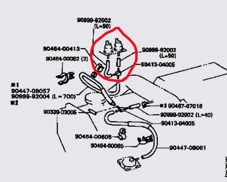 FE8A40E1-7E1C-4AFA-BE24-F8D4113EED29.webp