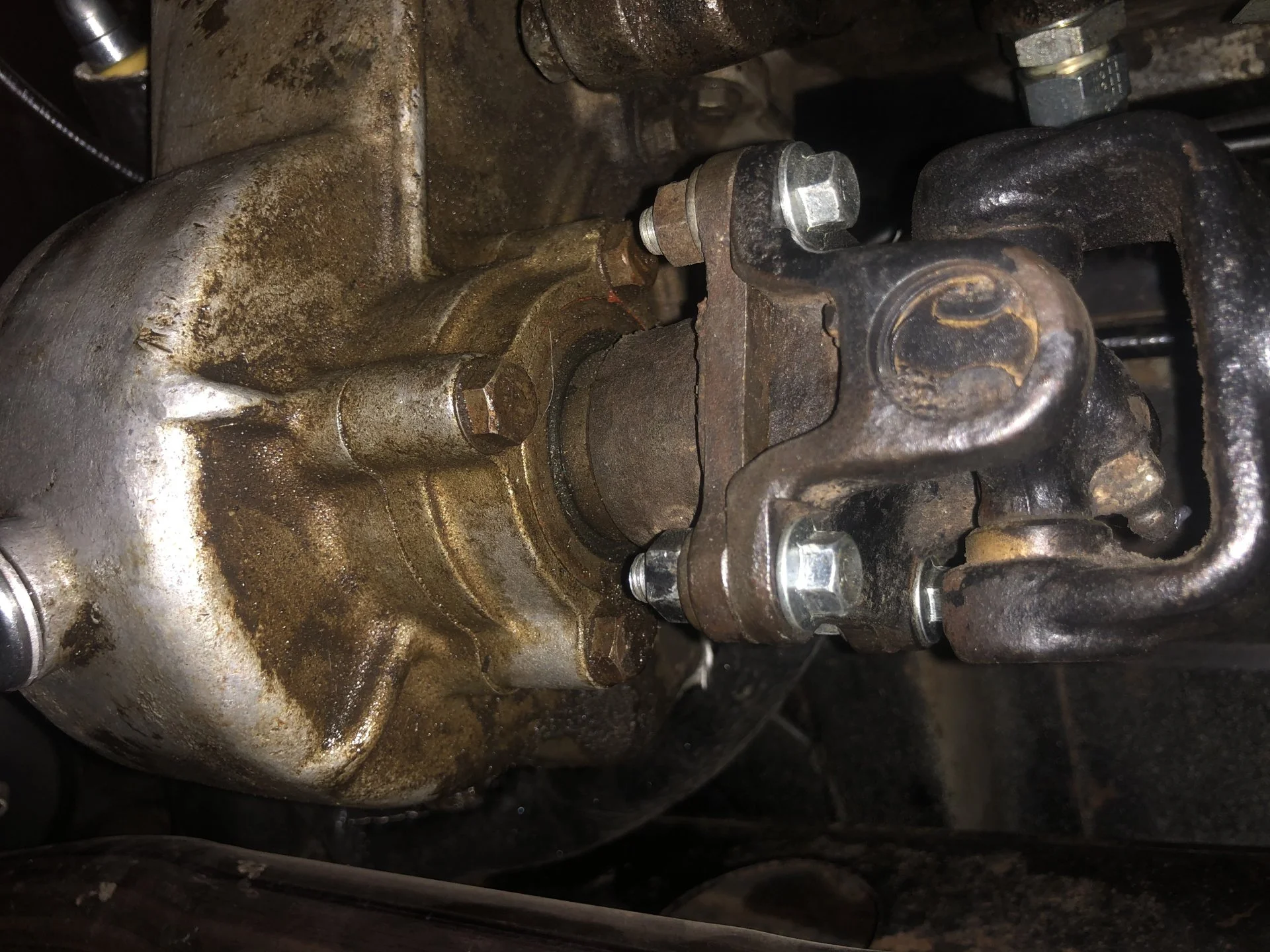 FEEC6507-5AD8-4E5A-8584-6F84F3F55BC1.webp