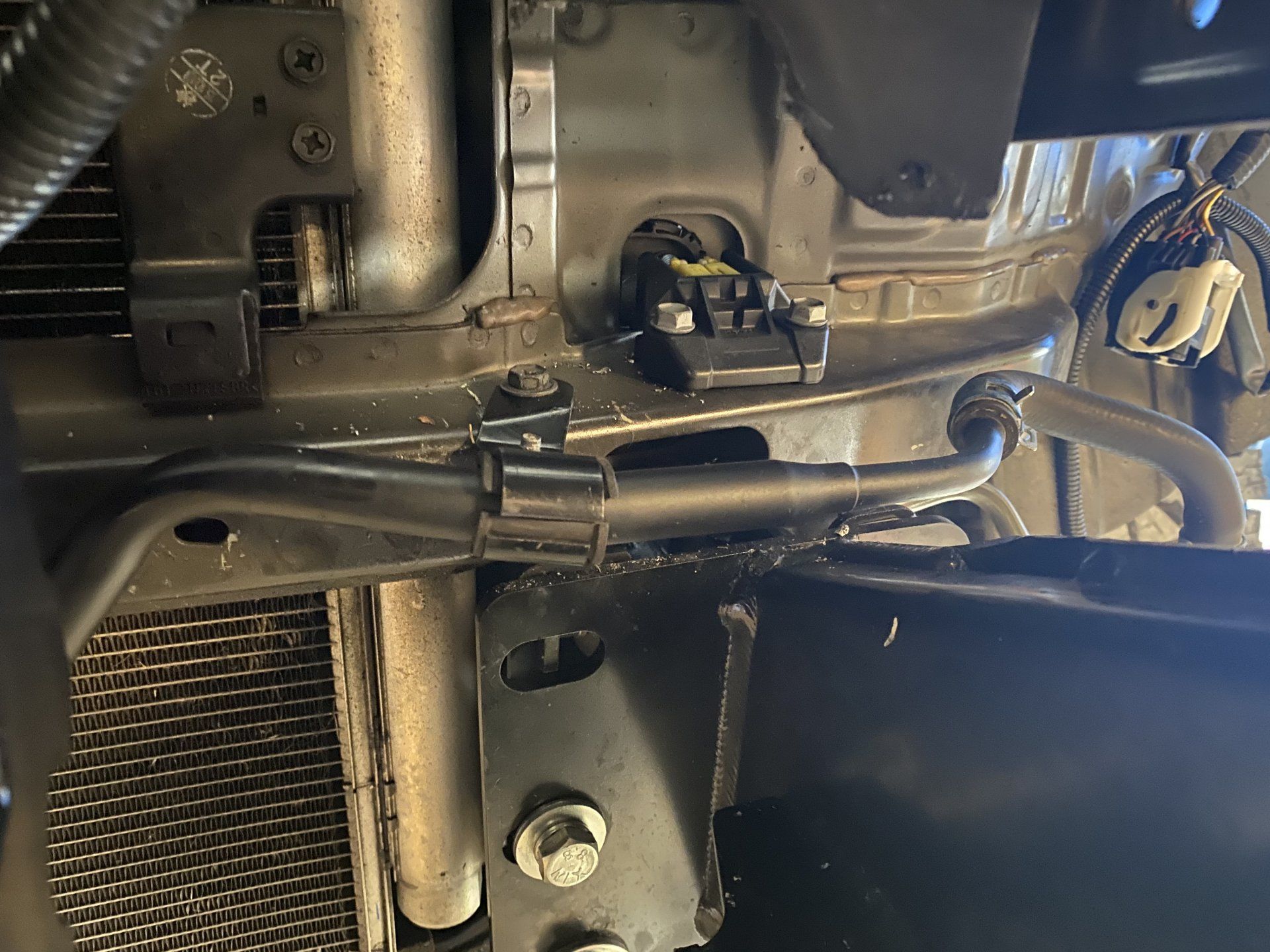 FEF8E955-ED19-40D3-84B1-BD38EAA3C2F3.jpeg