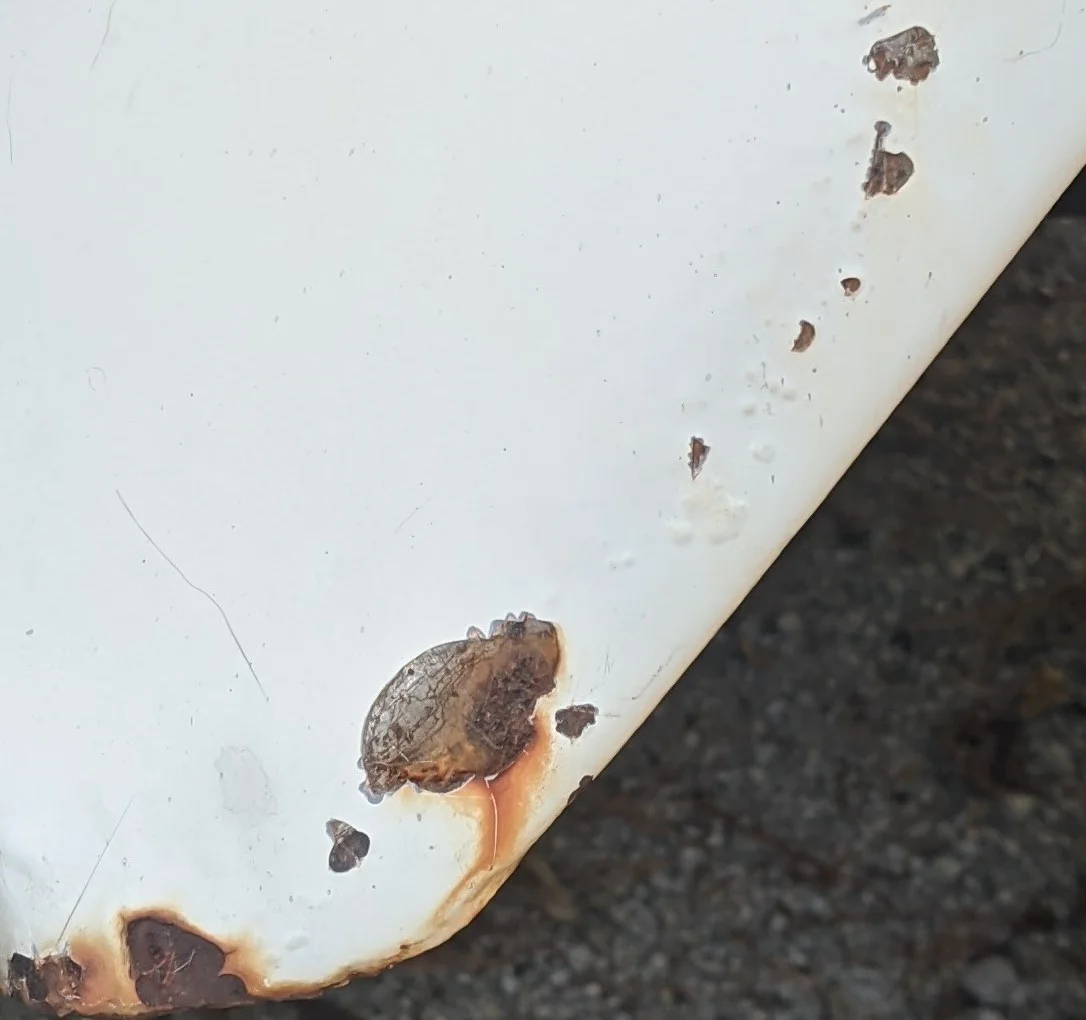 Fender Blisters.webp