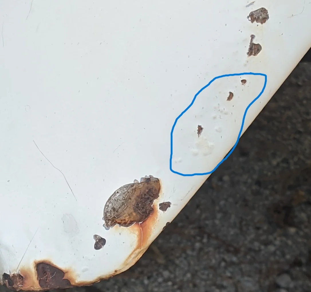 Fender Blisters1.webp