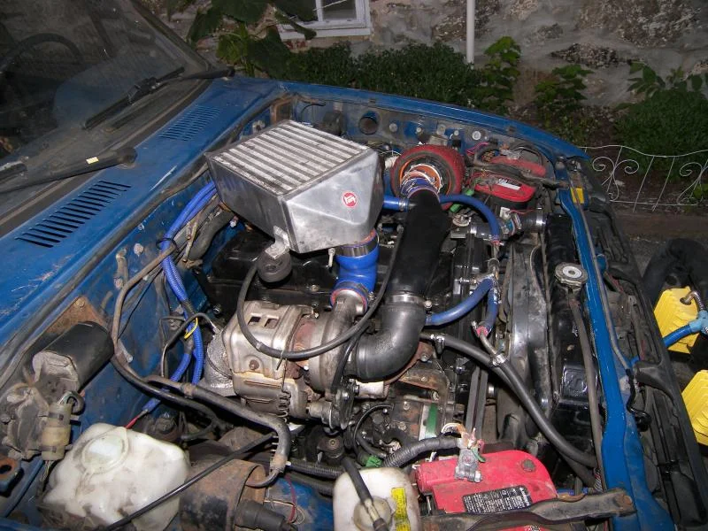 fiona,gypsy vanner,blue truck engine and dieter 015.webp