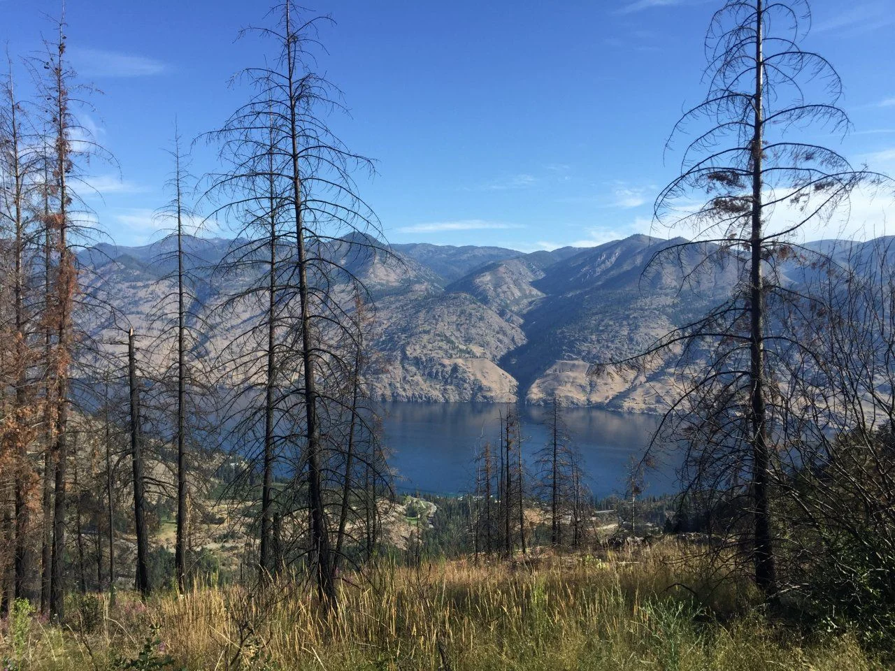 Fire at Chelan.webp