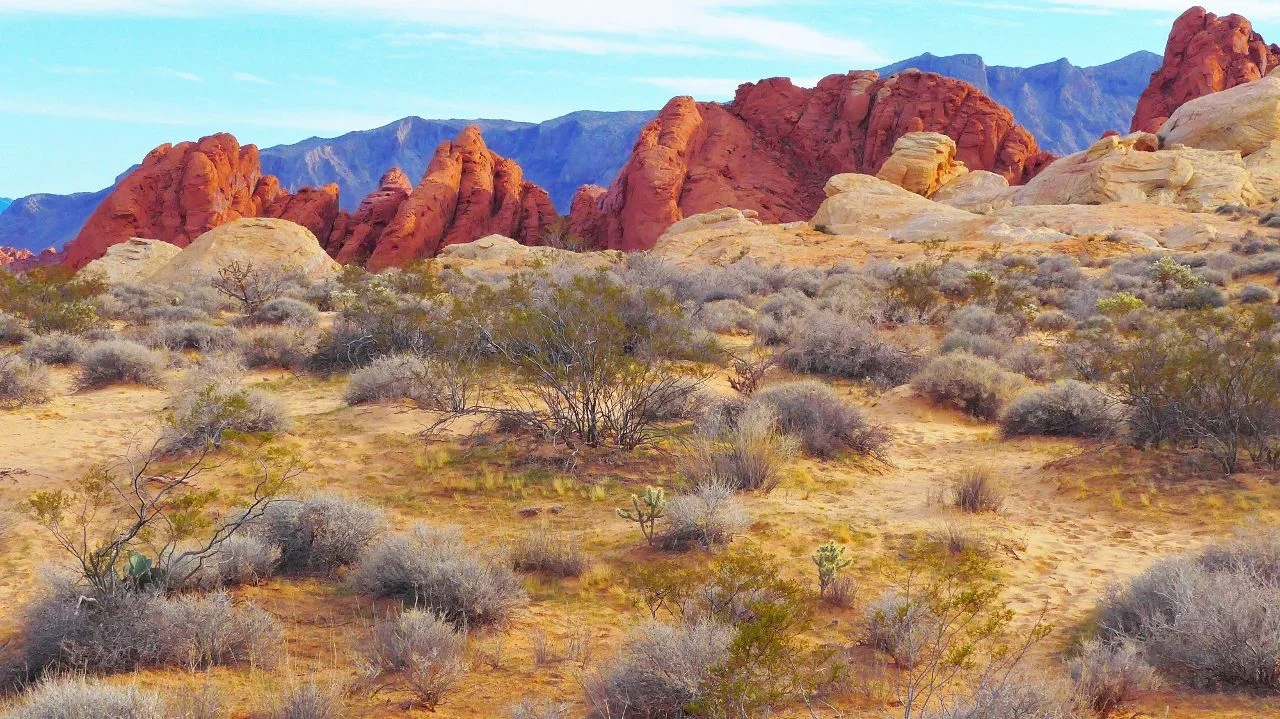 Fire Rocks2 (1280x719).webp
