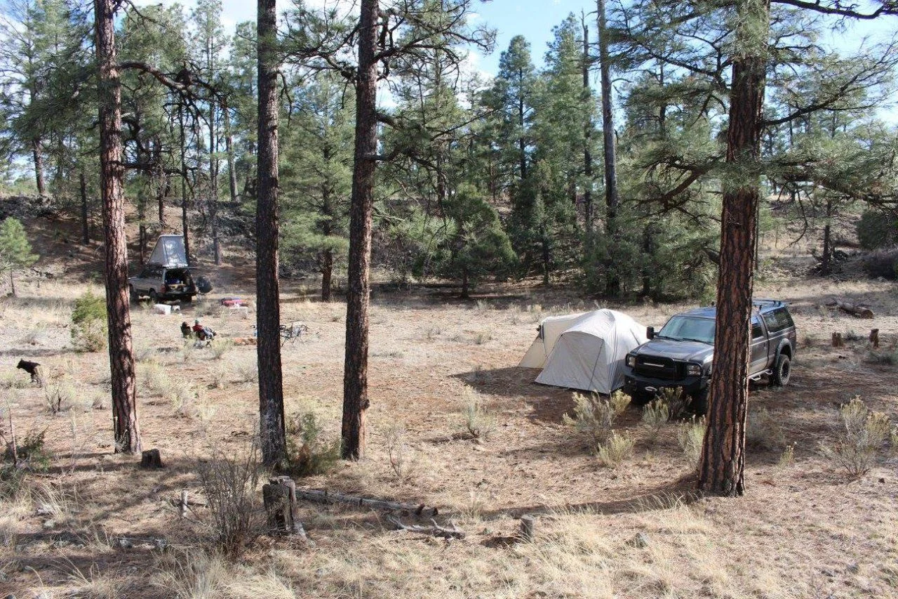 first night camp spot.webp