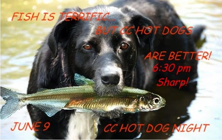 FISH DOGS2.webp