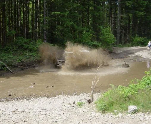 FJ Pics 060.webp