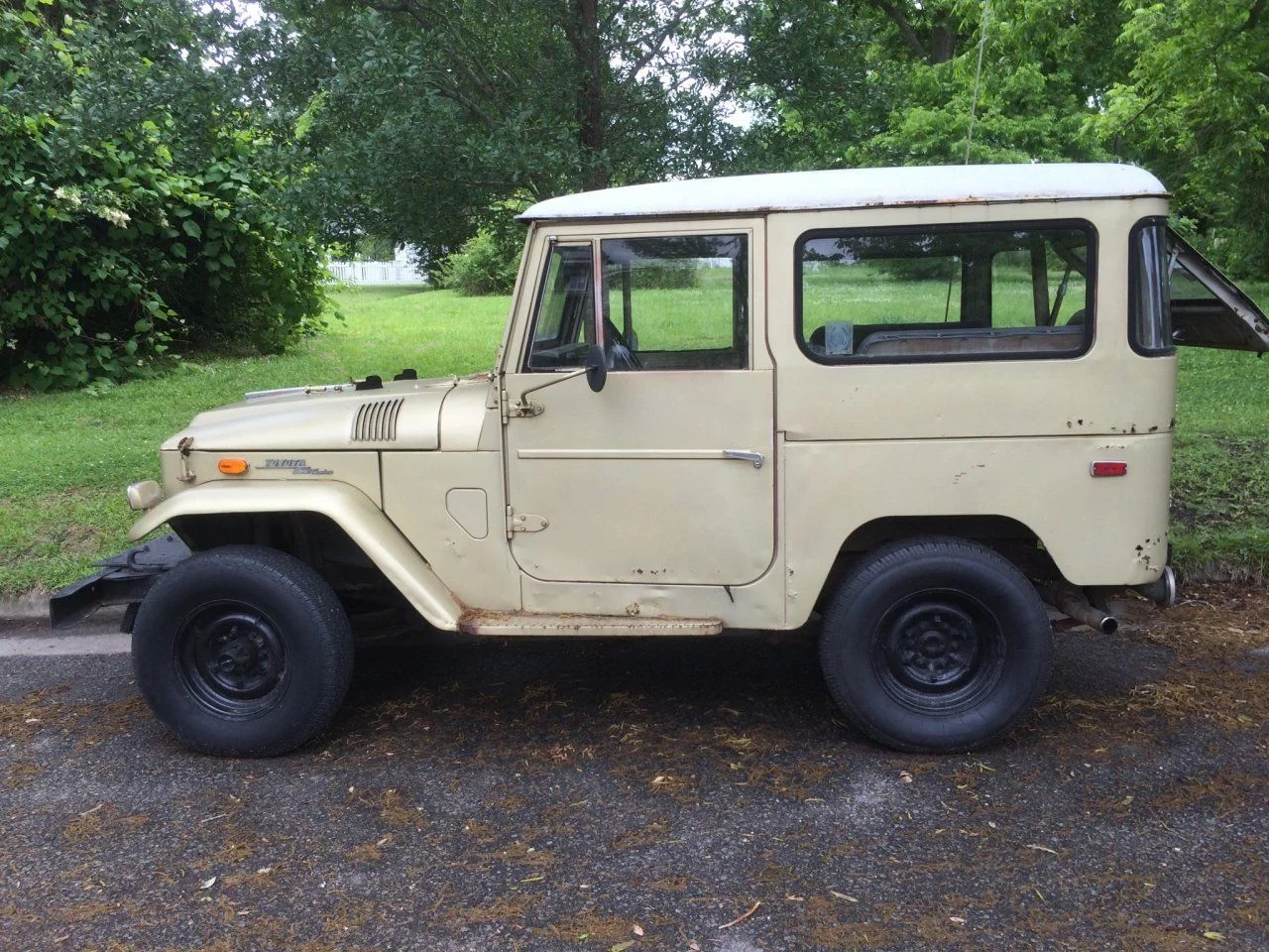 fj spotted.webp