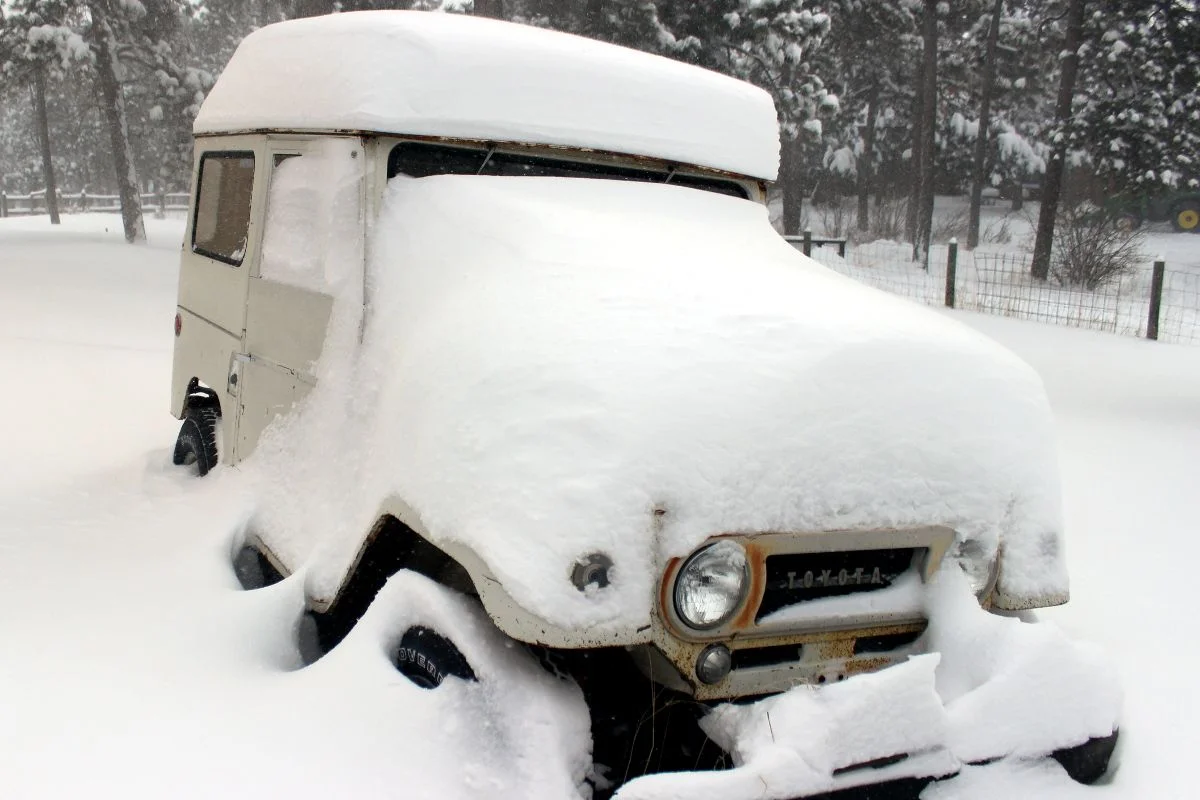 fj0_snow_2resize.webp
