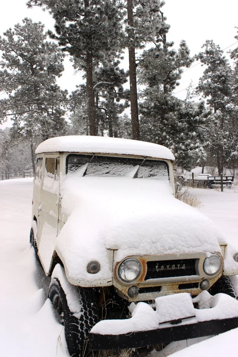 fj0_snow_resize.webp