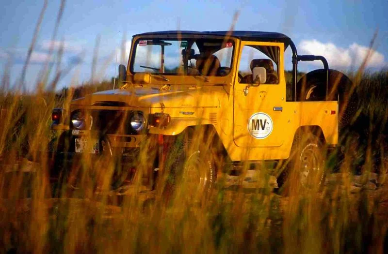 FJ40-3LO.webp