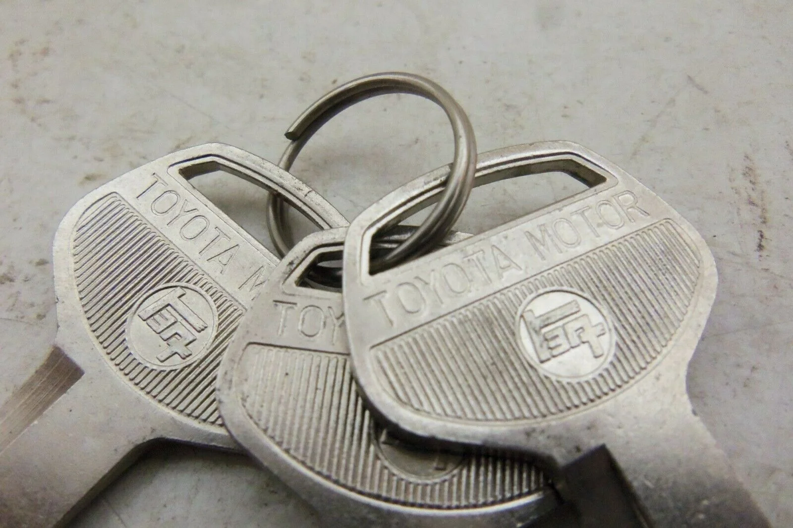 fj55 lg.webp