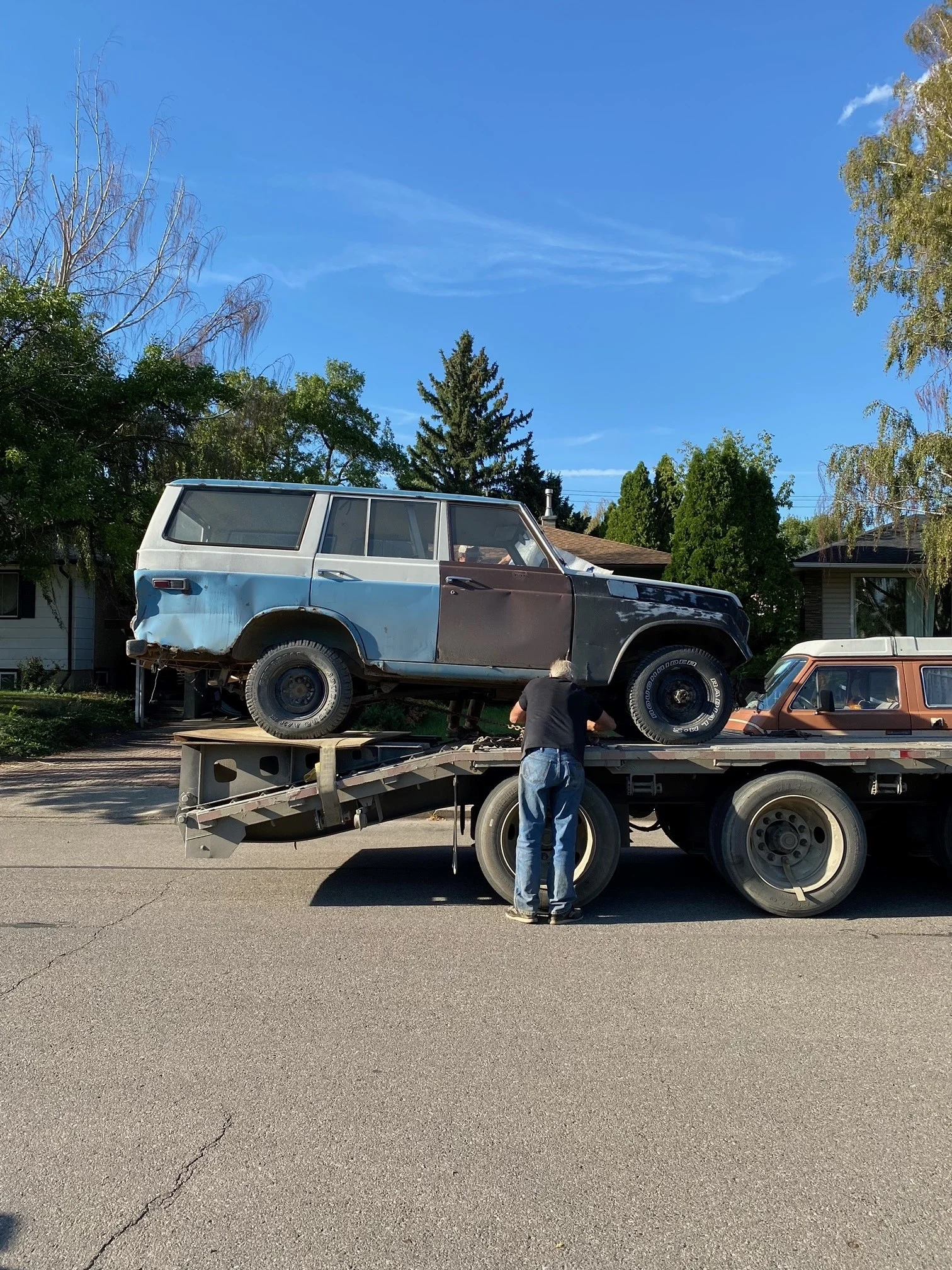 fj55003.webp