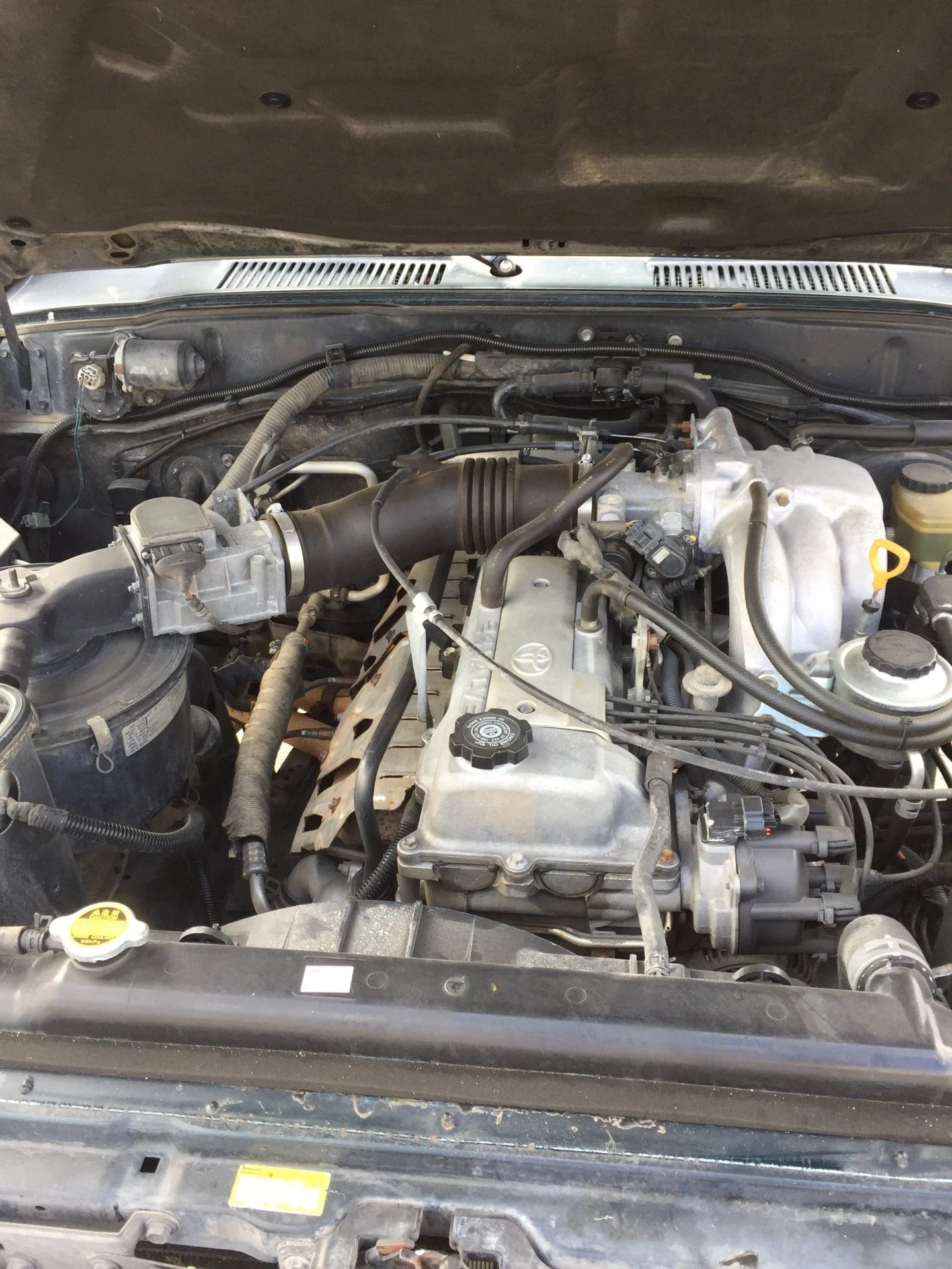FJ6.webp