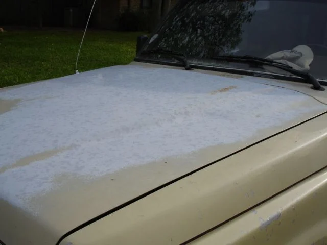 FJ60 (5).webp