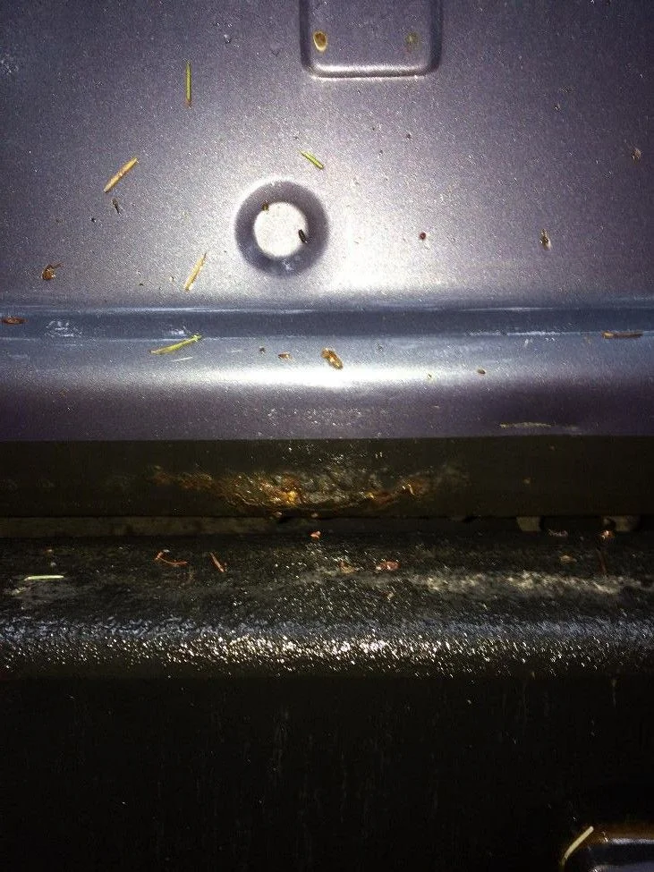 fj60 RUST Tailgate 3.jpg