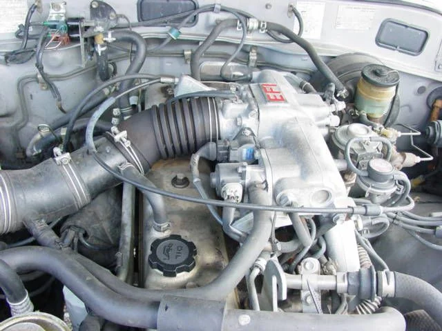 fj62 043.webp