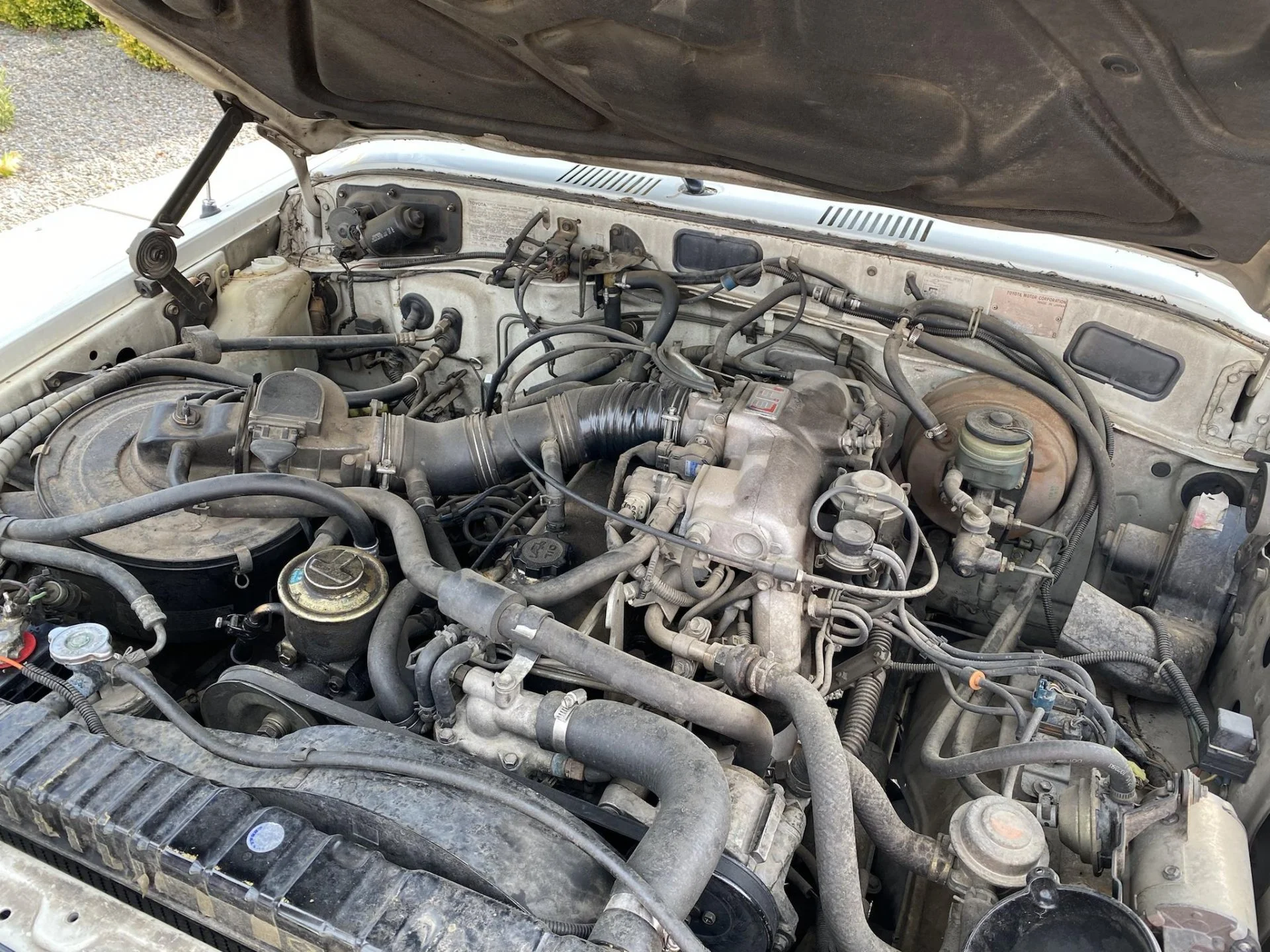 FJ62 - Imgur(6).webp
