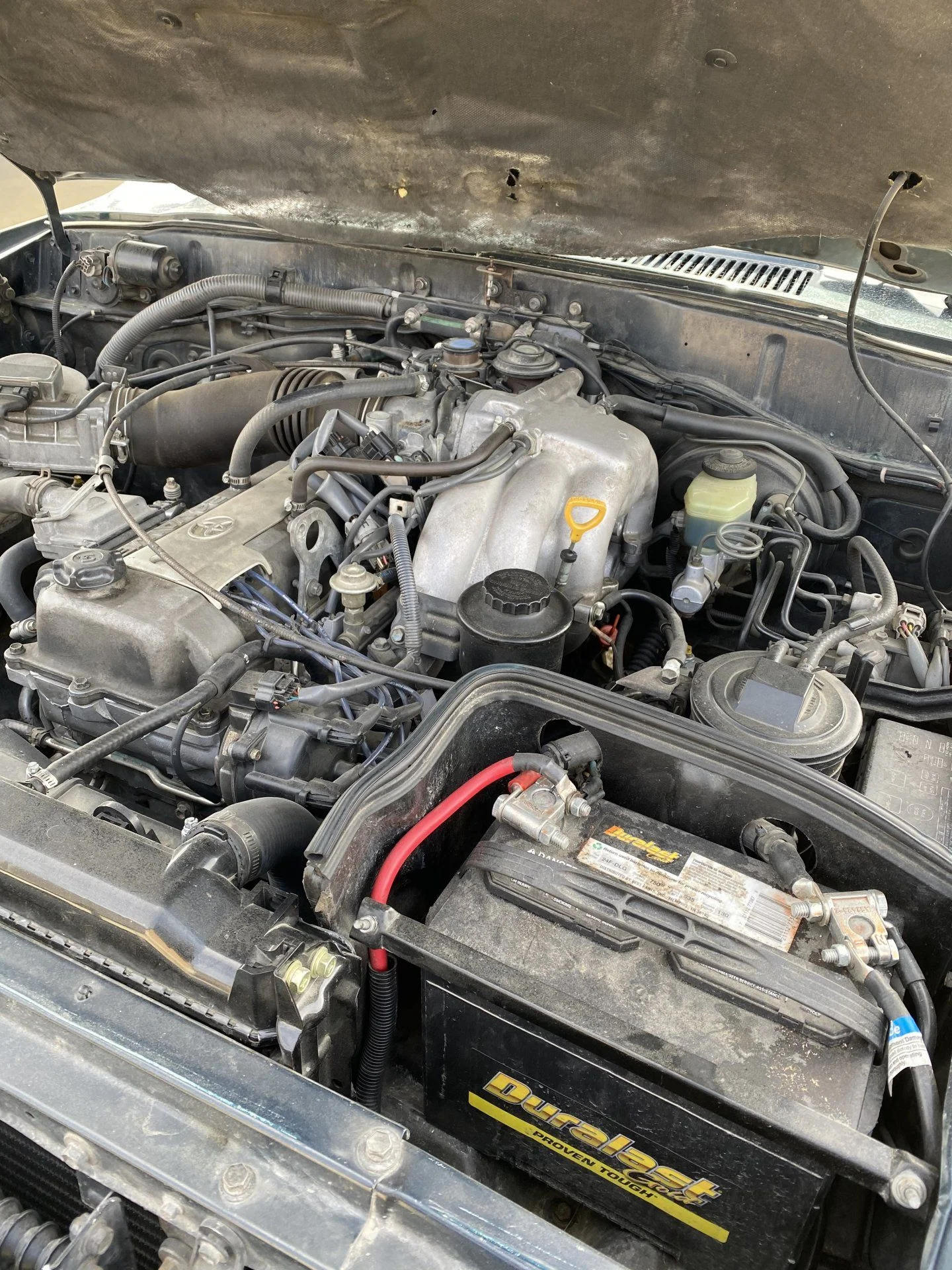 FJ80.jpg