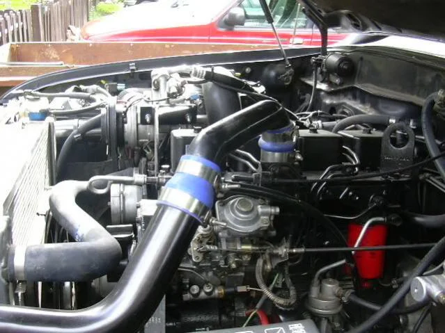 FJ80Mitzi-13.webp
