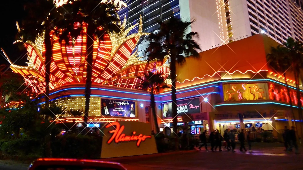 Flamingo strip (1280x719).webp