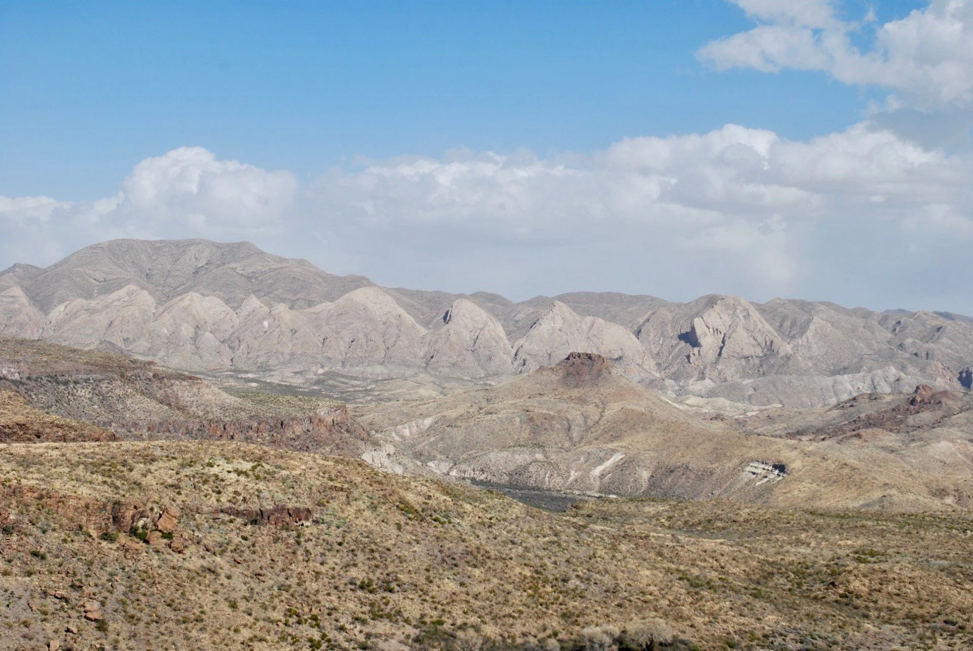 Flat Irons.webp