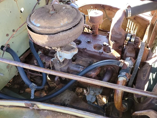 flathead 6.webp
