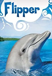 flipper.webp