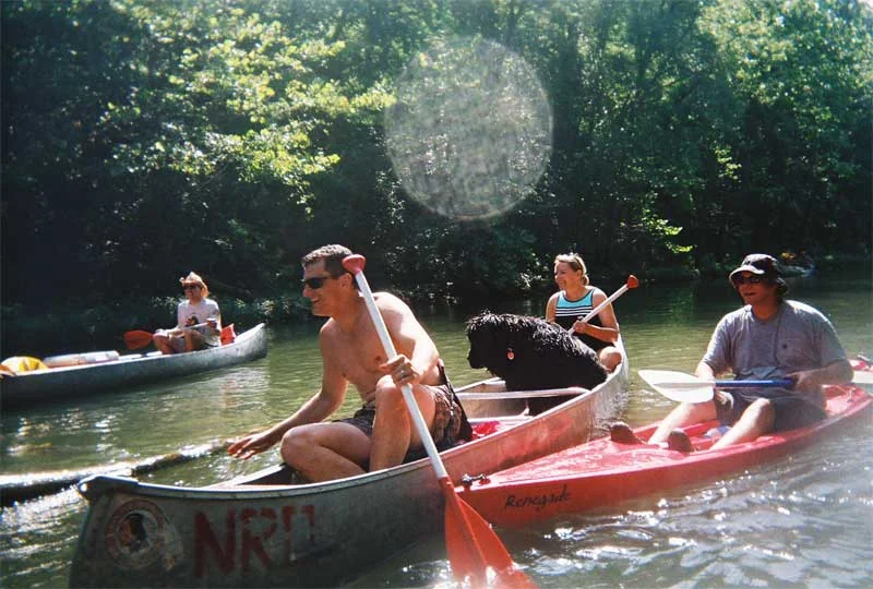 float-3.webp