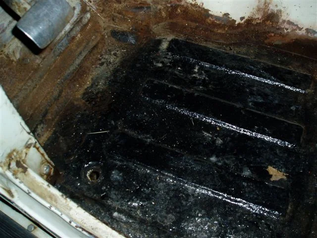 floor 001.webp