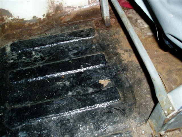 floor 002.webp