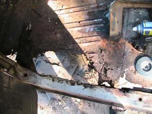 floor rot.webp